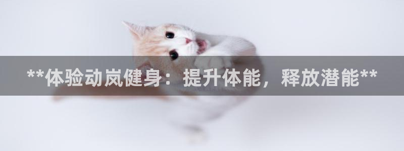 龙8国际老虎机游戏