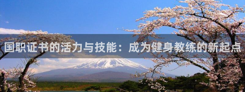 龙8国际登录地址